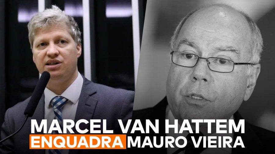 Agenda e atuação do NOVO